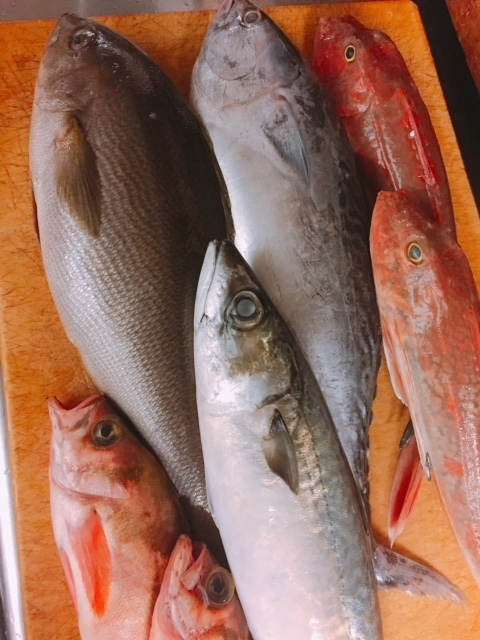 image1.jpeg