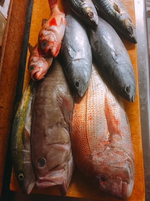 image1.jpeg